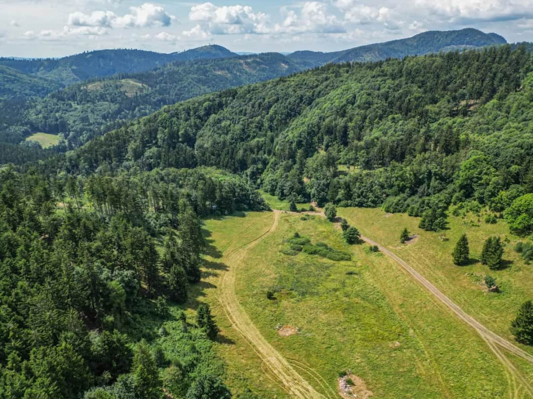 Głuszyca atrakcje, które zaskoczą każdego turystę w regionie