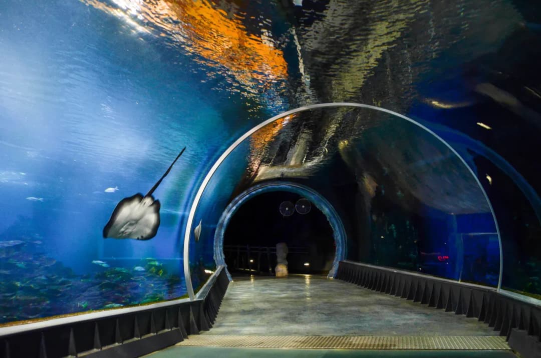 Atrakcje w zoo Wrocław – co warto zobaczyć i ile to kosztuje
