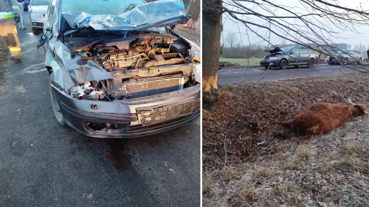 Kołobrzeg co się dzieje: najnowsze wydarzenia i niepokojące incydenty Kołobrzeg co się dzieje: najnowsze wydarzenia i niepokojące incydenty