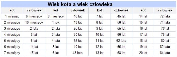 Jak liczyć wiek dziecka w hotelu i uniknąć nieprzyjemnych niespodzianek