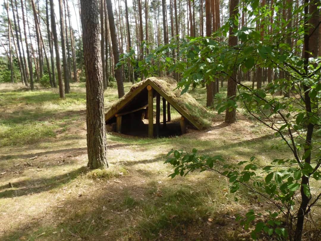 Bory Tucholskie z dzieckiem: 10 niezapomnianych atrakcji rodzinnych