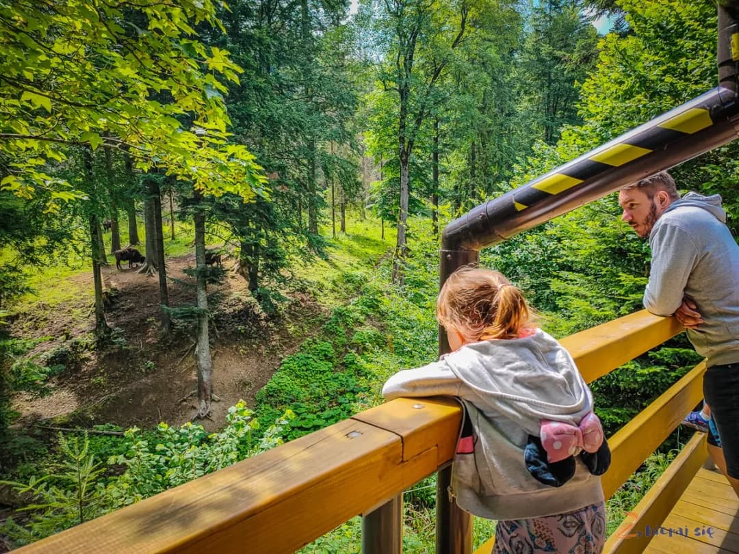 Podkarpacie z dziećmi: 10 niezapomnianych atrakcji rodzinnych