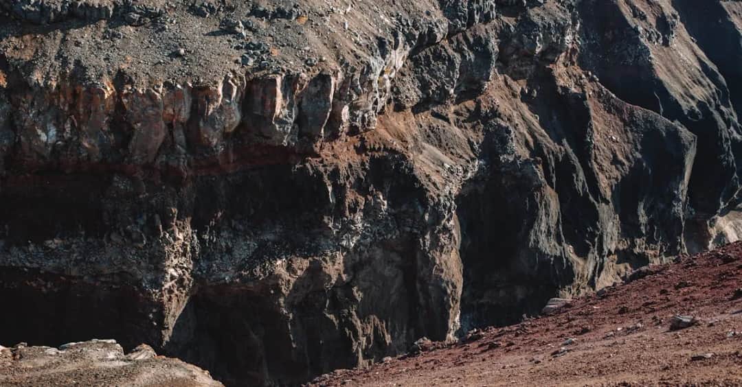 Filmy przyrodnicze: Jak kształtują świadomość ekologiczną?